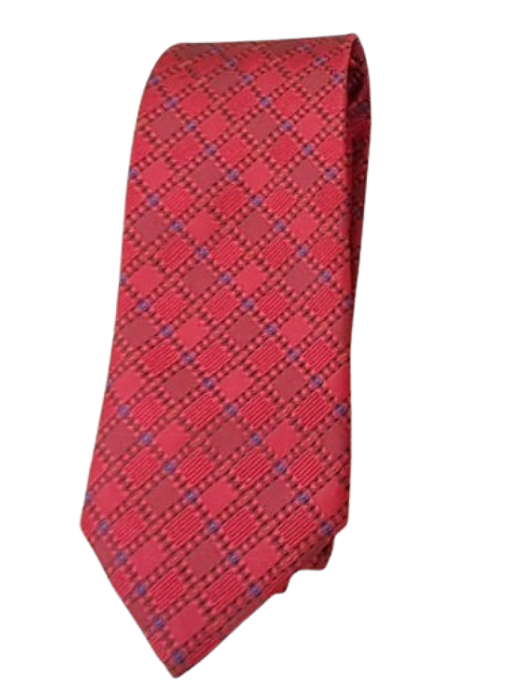 Red Checkered Tie